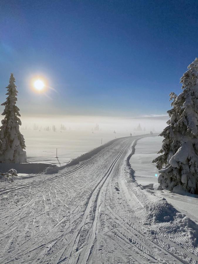 Lys Og Moderne Leilighet Rett Ved Skiloypa Pa Nordseter - Kort Vei Til Sjusjoen, Lillehammer Og Hafjell - Dyr Ikke Tillatt Exteriér fotografie