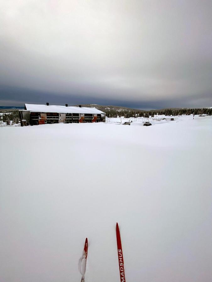 Lys Og Moderne Leilighet Rett Ved Skiloypa Pa Nordseter - Kort Vei Til Sjusjoen, Lillehammer Og Hafjell - Dyr Ikke Tillatt Exteriér fotografie