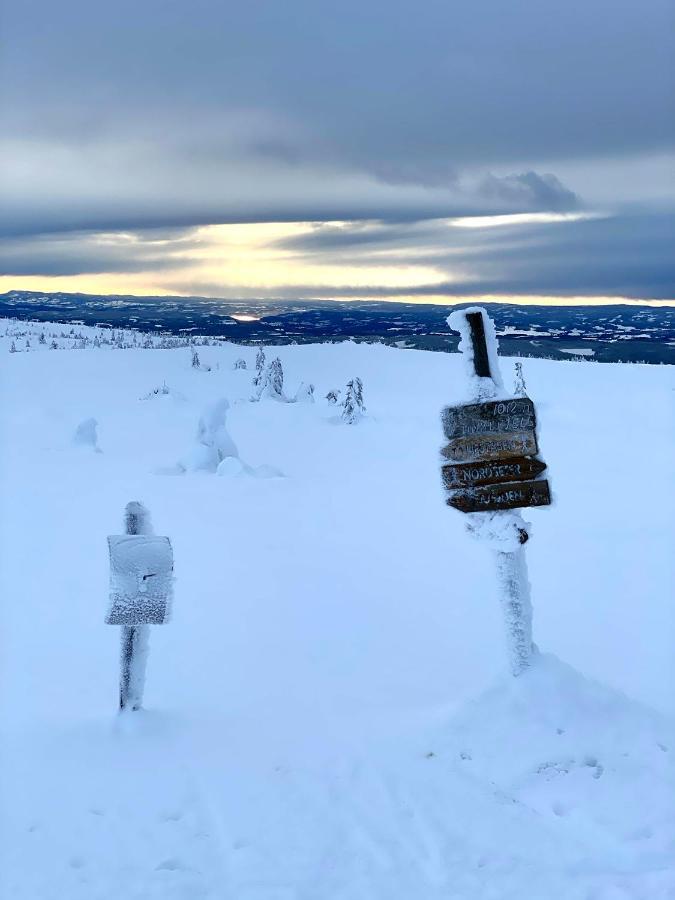 Lys Og Moderne Leilighet Rett Ved Skiloypa Pa Nordseter - Kort Vei Til Sjusjoen, Lillehammer Og Hafjell - Dyr Ikke Tillatt Exteriér fotografie